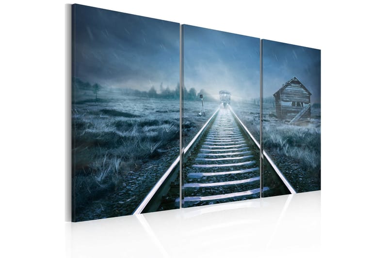 Billede A Journey In The Fog 60x40, Artgeist sp. z o. o.
