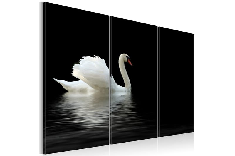 Billede A Lonely White Swan 60x40 - Artgeist sp. z o. o. - Billeder på lærred