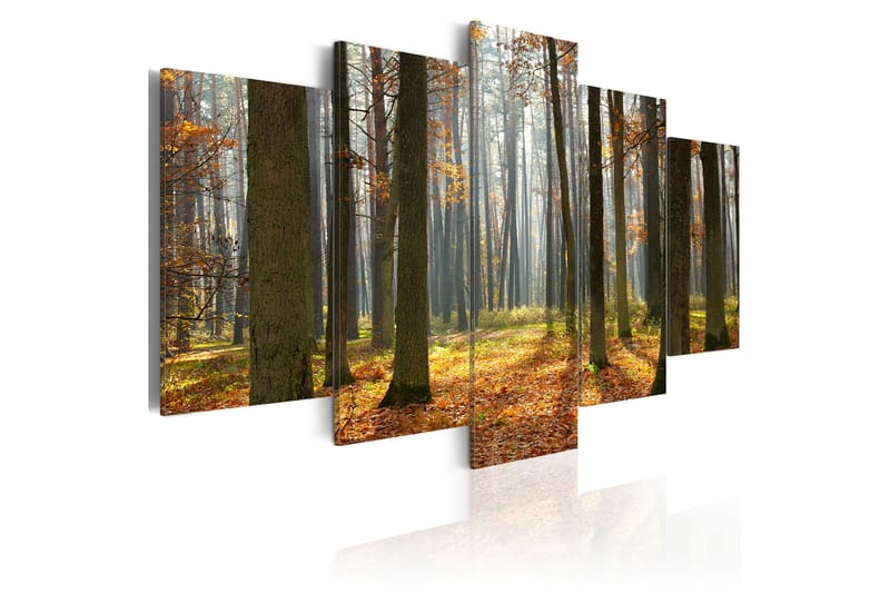 Billede A Nice Forest Landscape 200x100 - Artgeist sp. z o. o. - Boligtilbehør - Billeder & kunst - Billeder på lærred