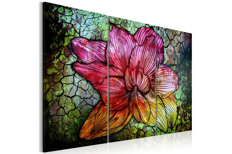 Billede A Rainbow-Hued Abstract Flower 60x40, Artgeist sp. z o. o.