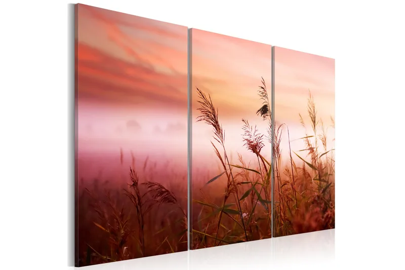 Billede A Silent Meadow 120x80, Artgeist sp. z o. o.