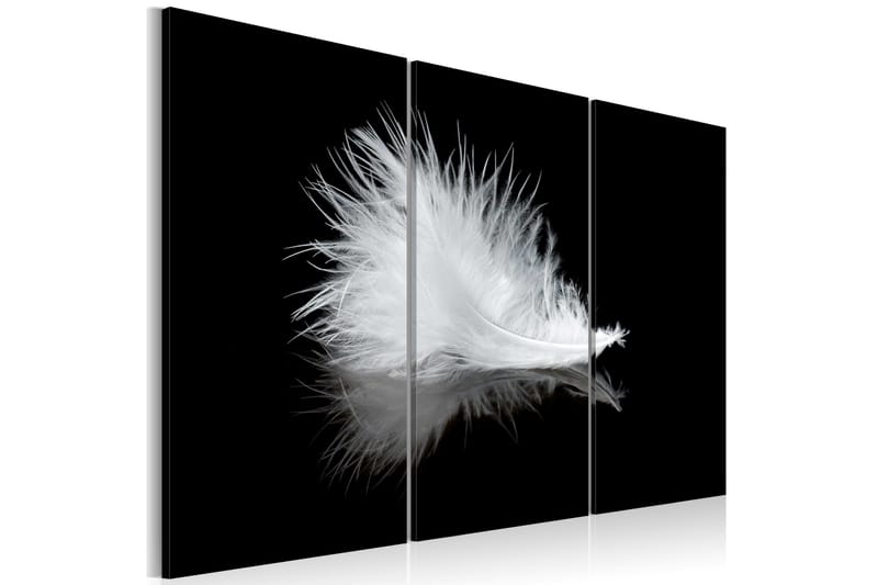 Billede A Small Feather 120x80, Artgeist sp. z o. o.