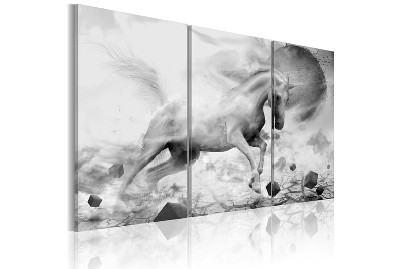 Billede A Unicorn On The Edge Of The World 60x40 - Artgeist sp. z o. o. - Boligtilbehør - Billeder & kunst - Billeder på lærred