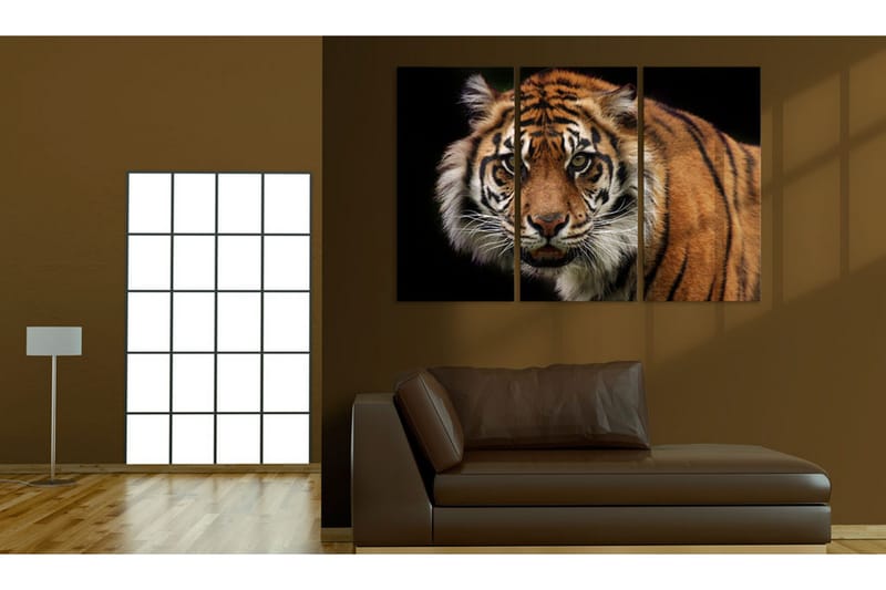 Billede A Wild Tiger 60x40 - Artgeist sp. z o. o. - Boligtilbehør - Billeder & kunst - Billeder på lærred