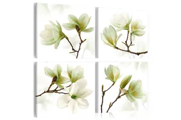 Billede Admiration Of Magnolia 80x80 - Artgeist sp. z o. o. - Boligtilbehør - Billeder & kunst - Billeder på lærred