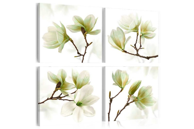 Billede Admiration Of Magnolia 80x80, Artgeist sp. z o. o.
