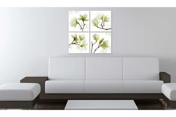 Billede Admiration Of Magnolia 80x80 - Artgeist sp. z o. o. - Boligtilbehør - Billeder & kunst - Billeder på lærred