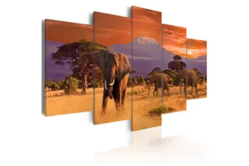 Billede Africa Elephants 200x100 - Artgeist sp. z o. o. - Boligtilbehør - Billeder & kunst - Billeder på lærred