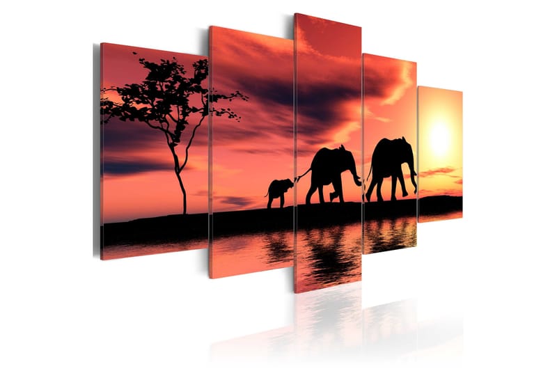 Billede African Elephants Family 100x50, Artgeist sp. z o. o.