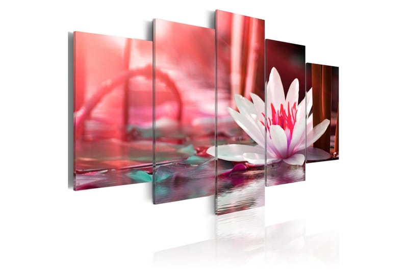 Billede Amaranthine Lotus 100x50, Artgeist sp. z o. o.
