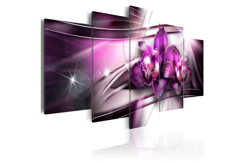 Billede Amaranthine Tandem 200x100, Artgeist sp. z o. o.