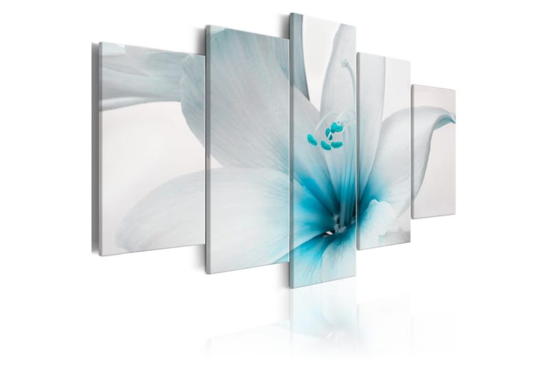 Billede Amarylis Blue Charm 200x100, Artgeist sp. z o. o.