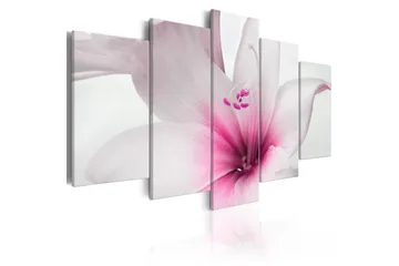 Billede Amarylis Pink Charm 100x50 - Artgeist sp. z o. o. - Boligtilbehør - Billeder & kunst - Billeder på lærred