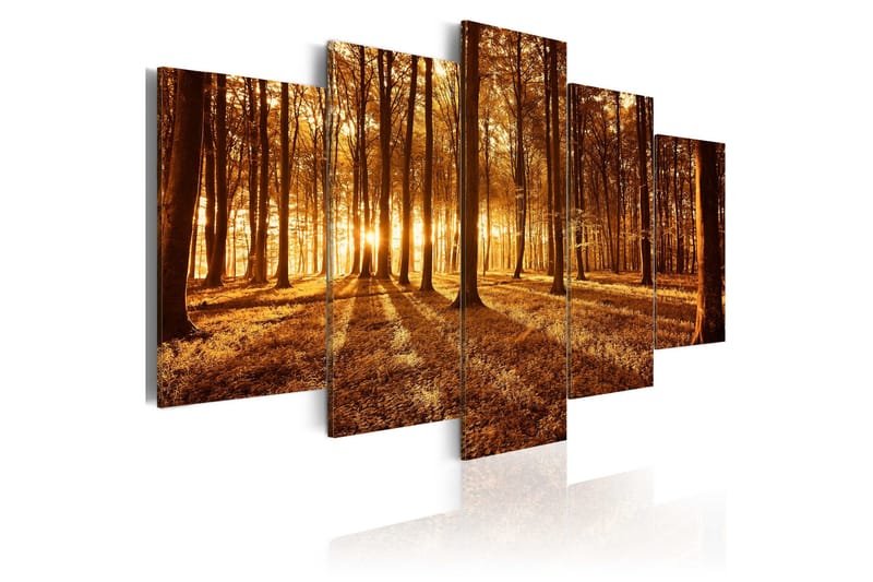 Billede Amber Forest 100x50, Artgeist sp. z o. o.
