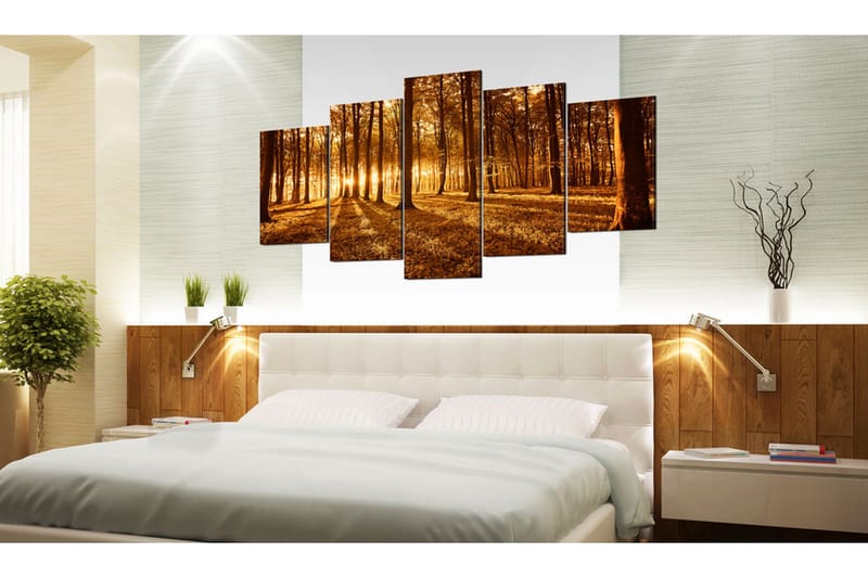 Billede Amber Forest 100x50 - Artgeist sp. z o. o. - Boligtilbehør - Billeder & kunst - Billeder på lærred