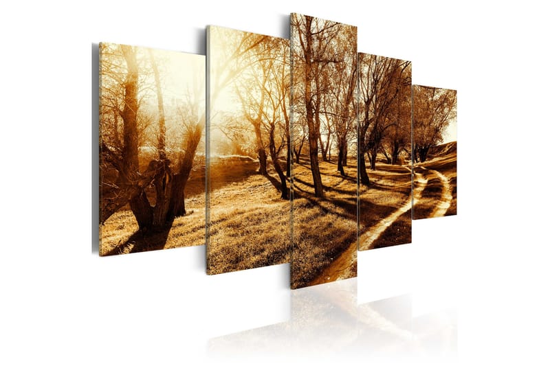 Billede Amber Orchard 100x50, Artgeist sp. z o. o.