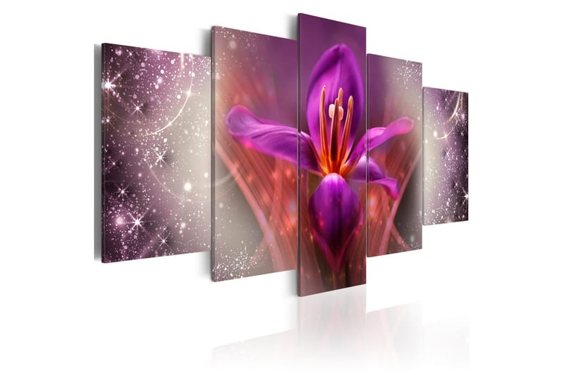Billede Among The Stars 100x50, Artgeist sp. z o. o.