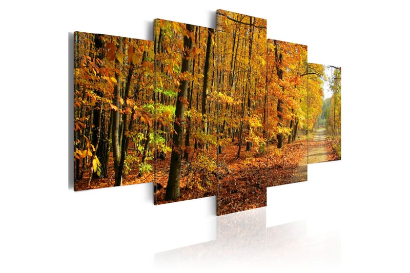 Billede An Alley Among Colorful Leaves 100x50, Artgeist sp. z o. o.