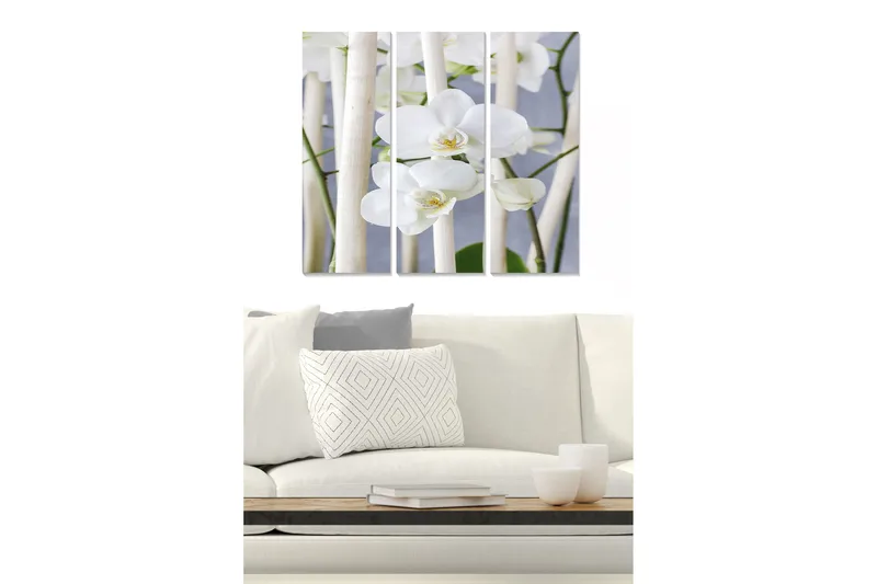 Billede Animal 3 stk Flerfarvet, 22x05 cm