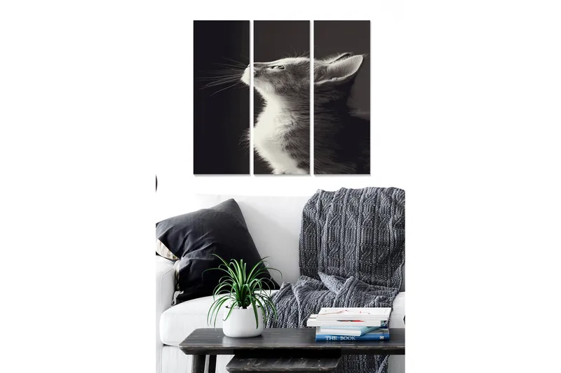 Billede Animal 3 stk Flerfarvet, 22x05 cm