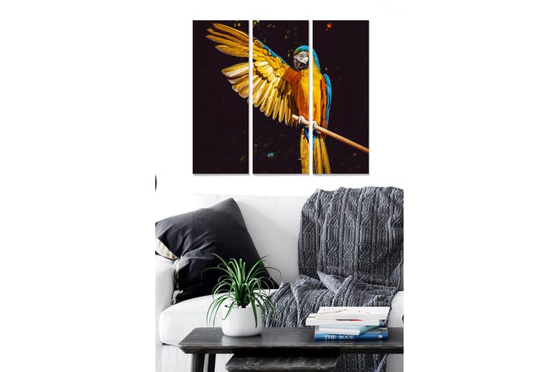 Billede Animal 3 stk Flerfarvet, 22x05 cm