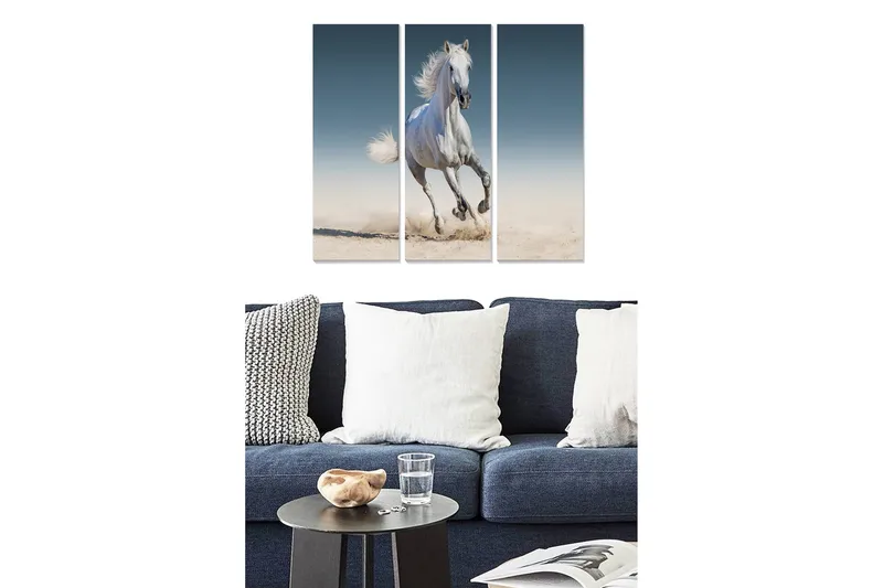 Billede Animal 3 stk Flerfarvet, 22x05 cm