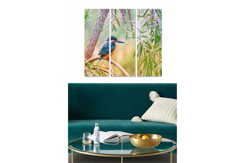 Billede Animal 3 stk Flerfarvet, 22x05 cm