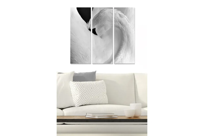 Billede Animal 3 stk Flerfarvet, 22x05 cm