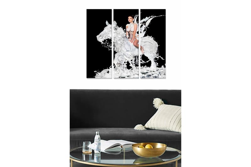 Billede Animal 3 stk Flerfarvet, 22x05 cm