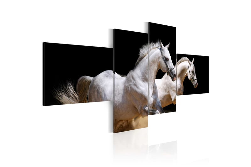 Billede Animal World- White Horses Galloping 200x90 - Artgeist sp. z o. o. - Boligtilbehør - Billeder & kunst - Billeder på lærred