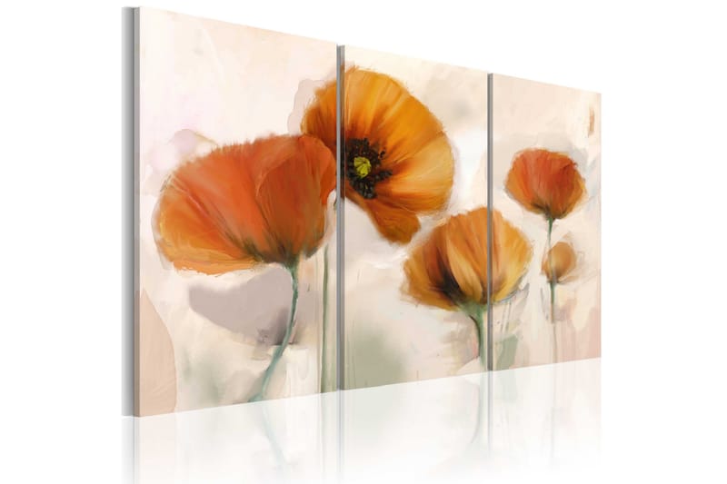 Billede Artistic Poppies Triptych 120x80, Artgeist sp. z o. o.