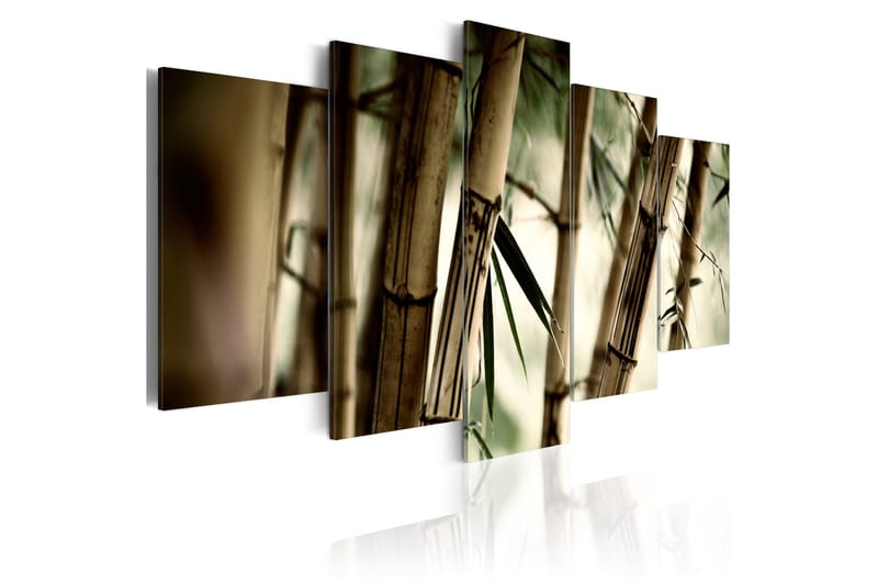 Billede Asian Bamboo Forest 100x50 - Artgeist sp. z o. o. - Boligtilbehør - Billeder & kunst - Billeder på lærred