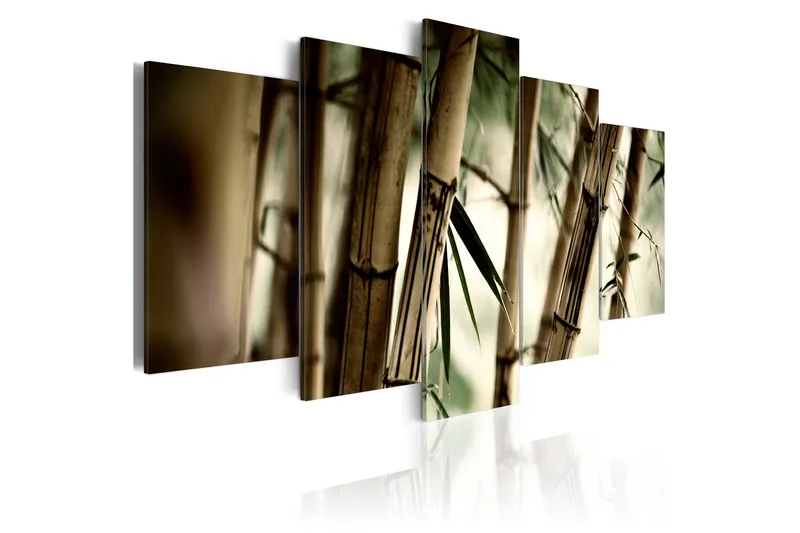 Billede Asian Bamboo Forest 100x50, Artgeist sp. z o. o.
