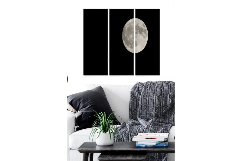 Billede Astrology 3 stk Flerfarvet, 22x05 cm