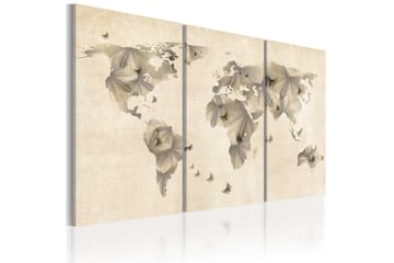 Billede Atlas Of Sommerfugle Triptych 120x80
