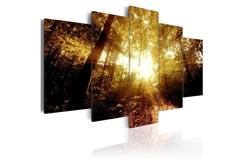 Billede Autumn Forest 200x100, Artgeist sp. z o. o.