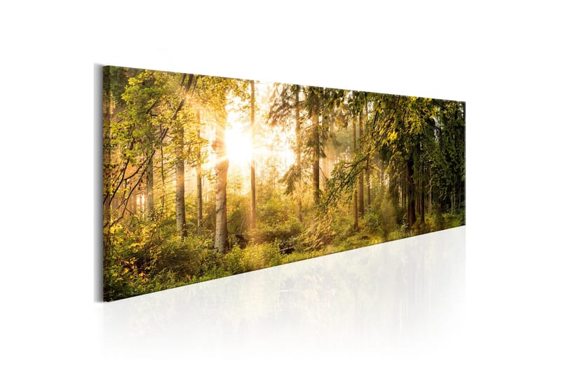 Billede Autumn Sigh 150x50, Artgeist sp. z o. o.