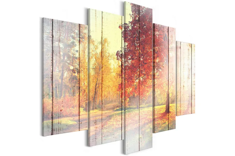 Billede Autumn Sun 5 Parts Wide 100x50, Artgeist sp. z o. o.