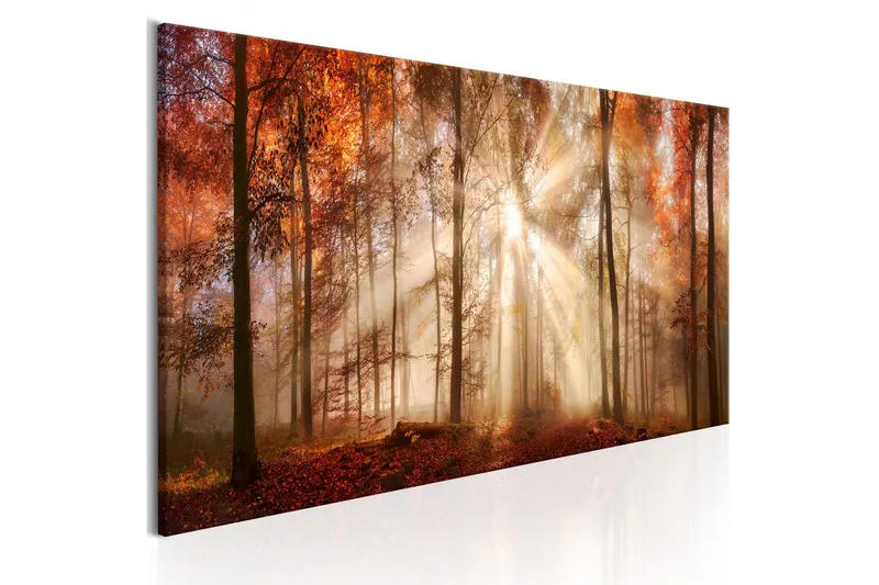 Billede - Autumnal Dawn 135x45, Artgeist sp. z o. o.