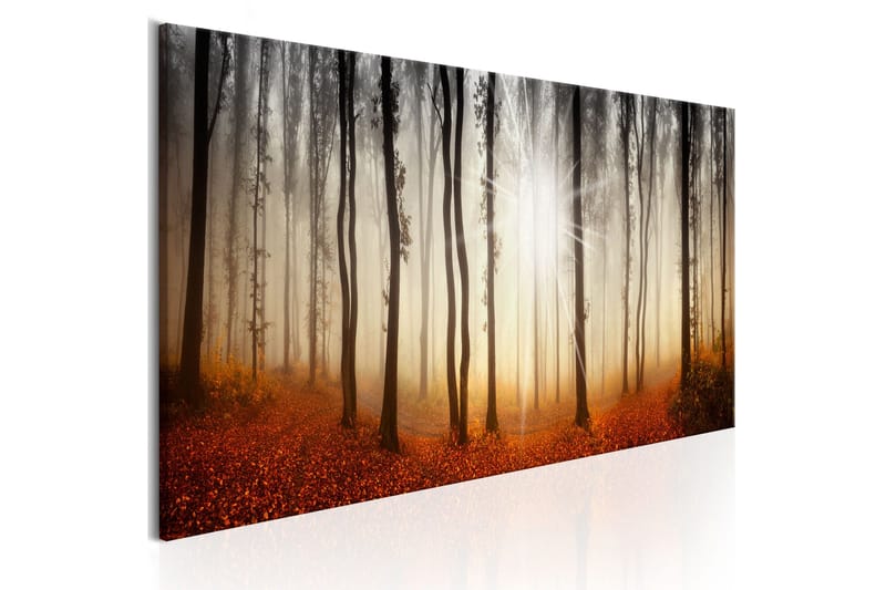 Billede Autumnal Fog 135x45, Artgeist sp. z o. o.