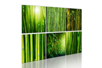 Billede Bamboo Has Many Faces 60x40 - Artgeist sp. z o. o. - Boligtilbehør - Billeder & kunst - Billeder på lærred