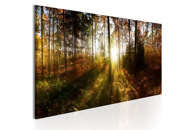 Billede Beautiful Forest 120x40, Artgeist sp. z o. o.
