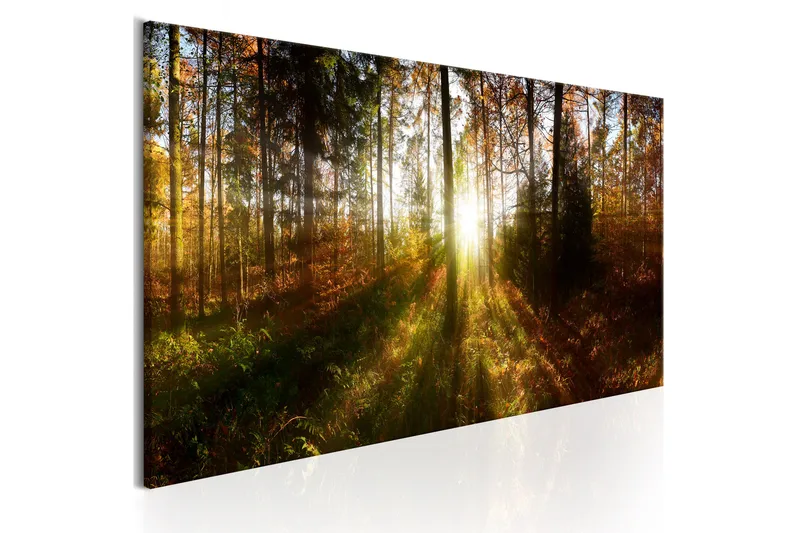 Billede Beautiful Forest 135x45, Artgeist sp. z o. o.