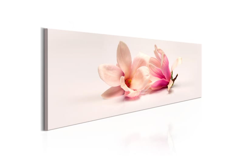 Billede Beautiful Magnolias 120x40 - Artgeist sp. z o. o. - Boligtilbehør - Billeder & kunst - Billeder på lærred