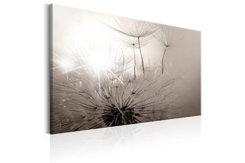 Billede Beautiful Summer: Dandelions 120x80 - Artgeist sp. z o. o. - Boligtilbehør - Billeder & kunst - Billeder på lærred