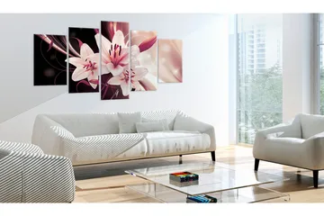 Billede Beauty Mystery 100x50 - Artgeist sp. z o. o. - Boligtilbehør - Billeder & kunst - Billeder på lærred
