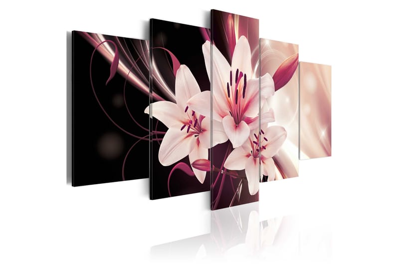 Billede Beauty Mystery 100x50, Artgeist sp. z o. o.