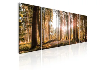 Billede Beauty Of Nature 200x80 - Artgeist sp. z o. o. - Boligtilbehør - Billeder & kunst - Billeder på lærred
