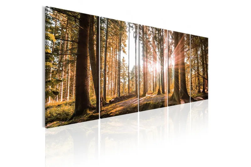 Billede Beauty Of Nature 225x90, Artgeist sp. z o. o.