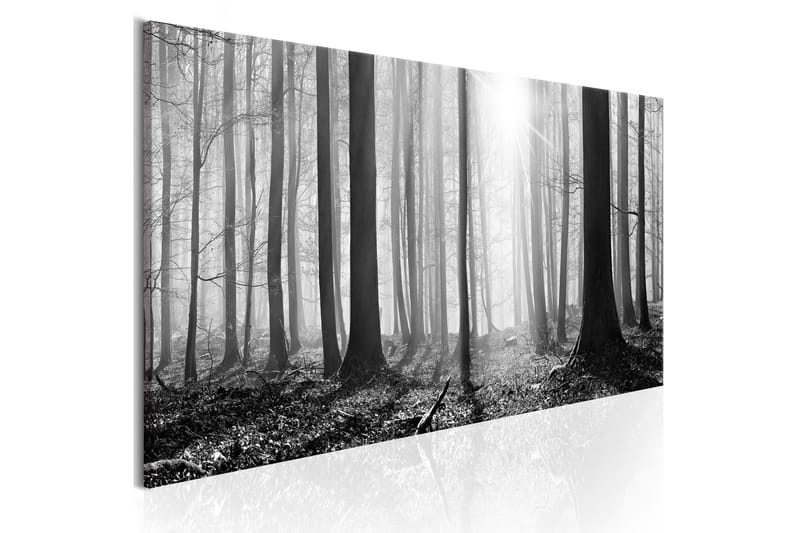Billede Black And White Forest 150x50, Artgeist sp. z o. o.